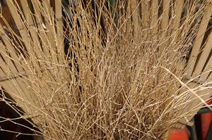 エアコンクリーニングやキッチンクリーニングが可能