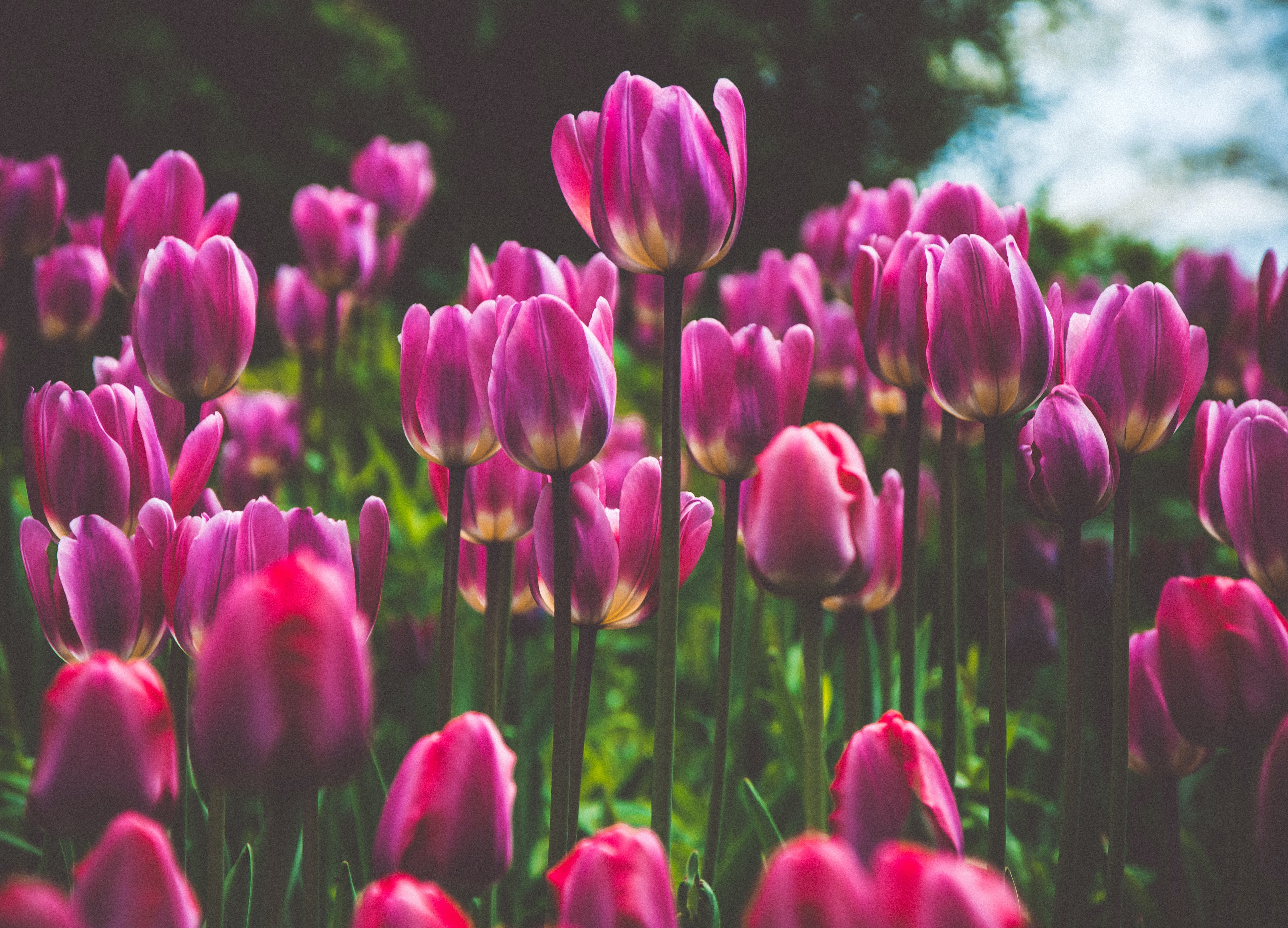 生活に欠かせないアイテム